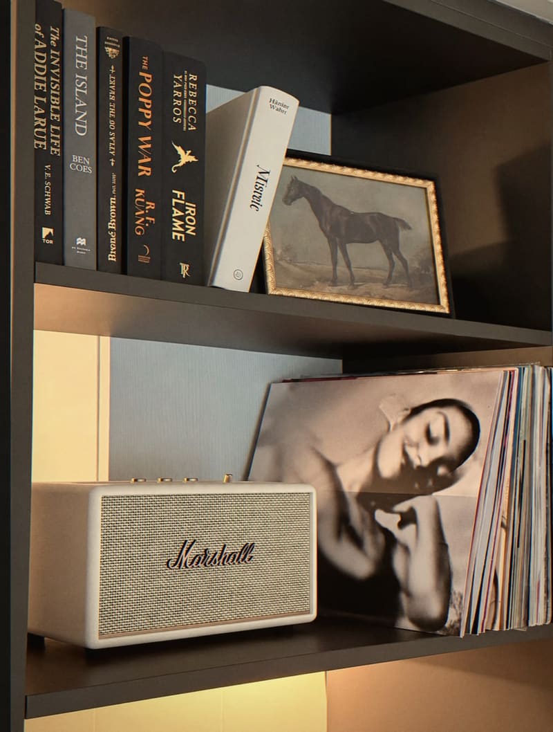 Bookshelf with novels, a framed horse print, vinyl records and a cream speaker